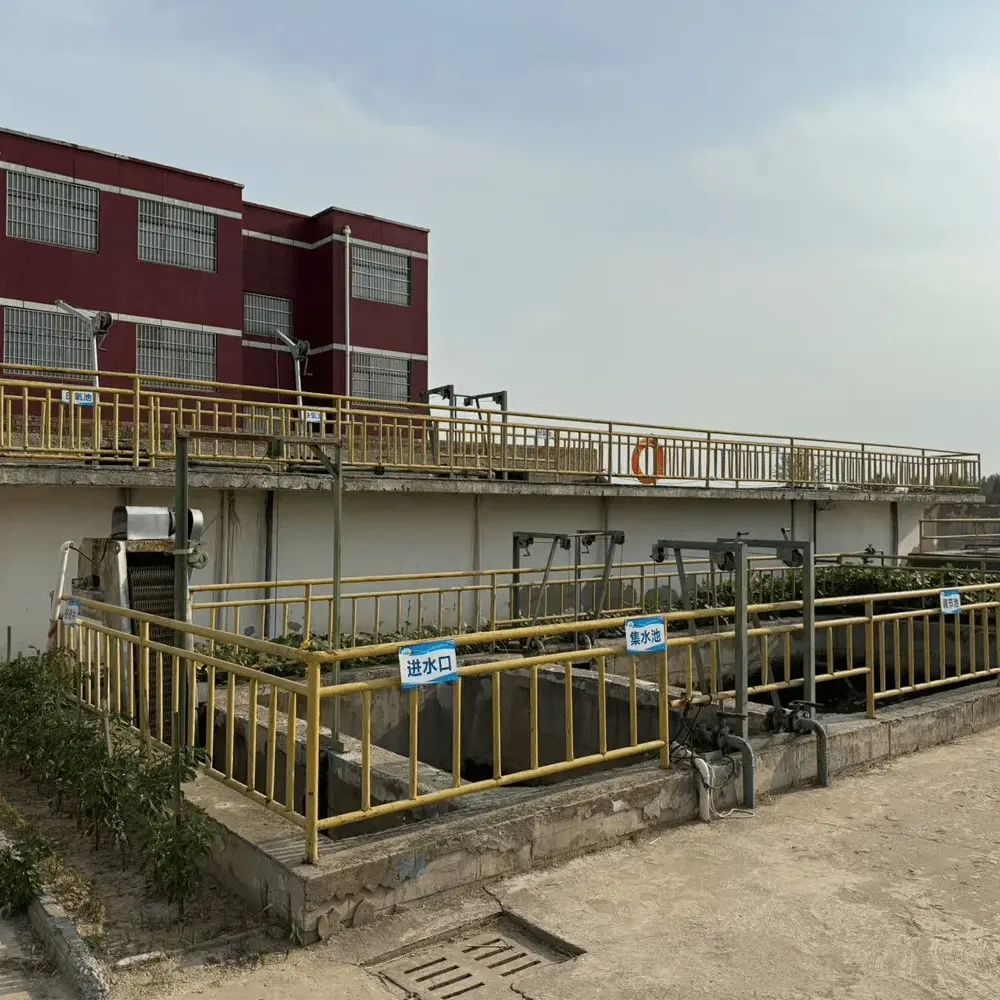 污水处理案例